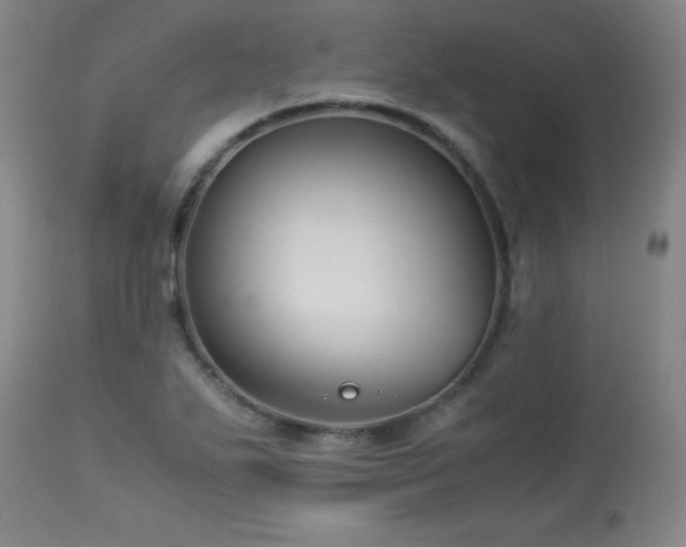 X0000113991271200910021214