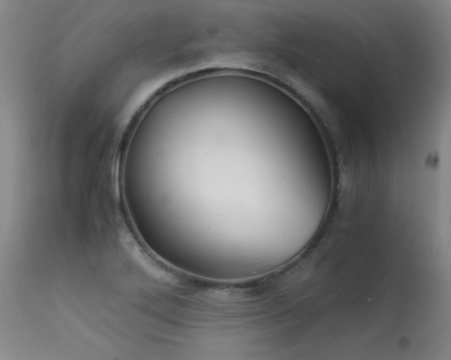 X0000113991272200910021214