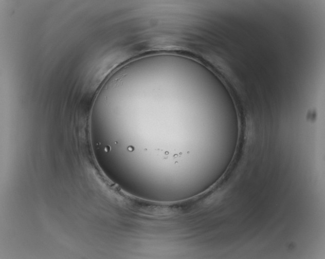 X0000113991273200910021214