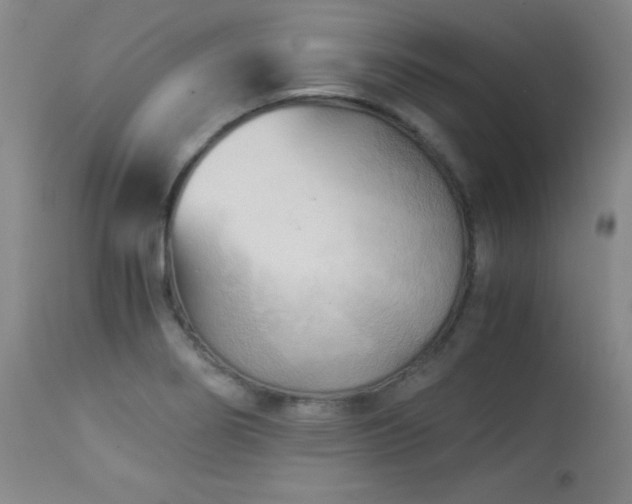 X0000113991274200910021214