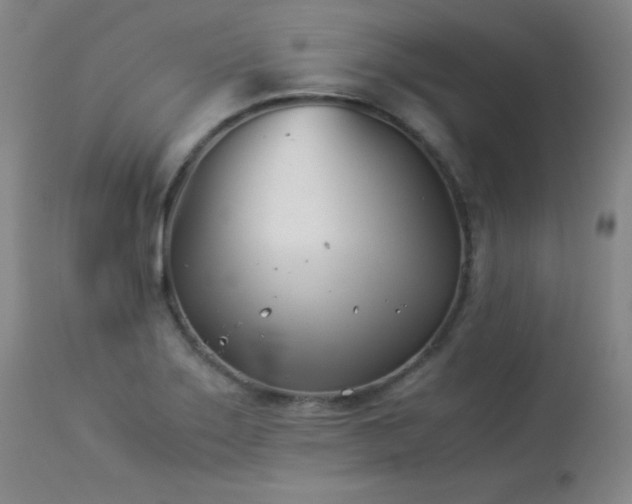 X0000113991275200910021214