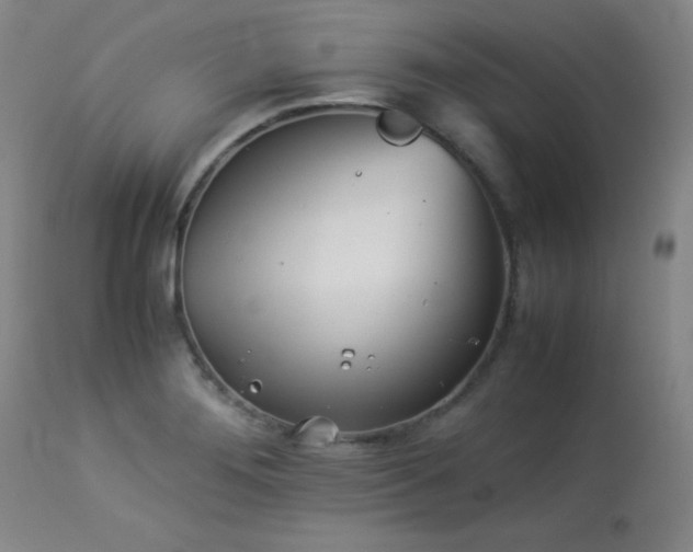 X0000113991276200910021214