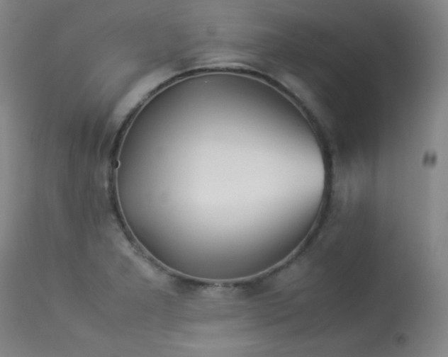 X0000113991277200910021214