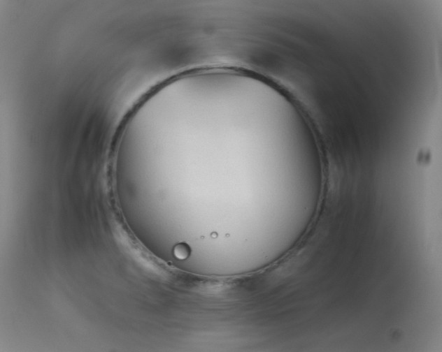 X0000113991278200910021214