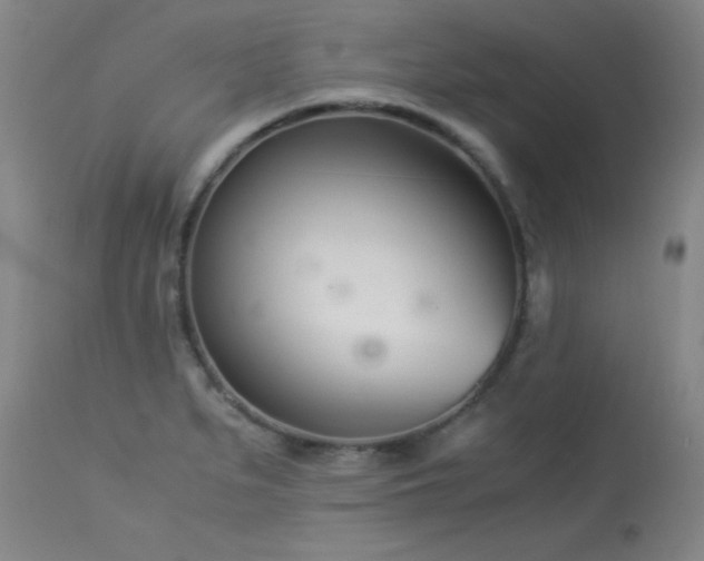 X0000113991279200910021214