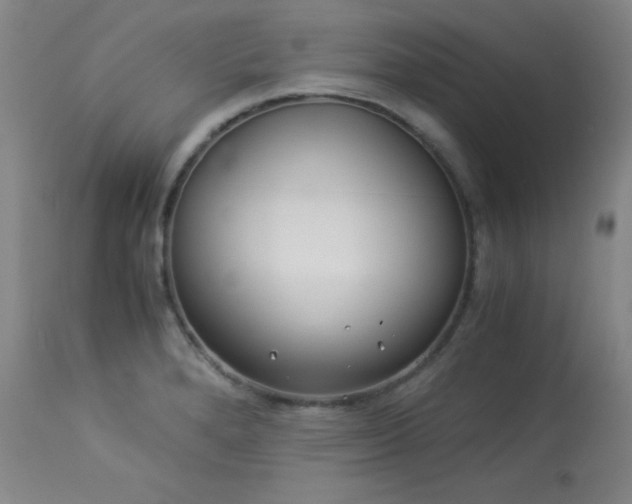 X0000113991280200910021214