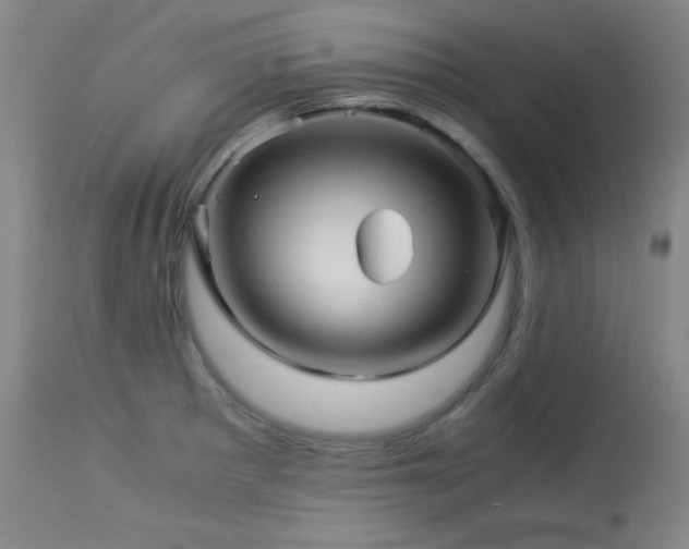 X0000113991281200910021214