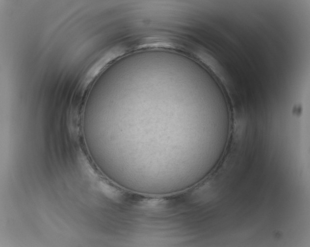 X0000113991282200910021214