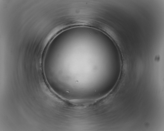 X0000113991283200910021214