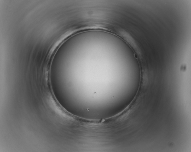 X0000113991284200910021214