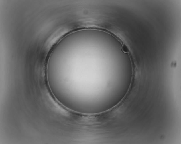 X0000113991285200910021214