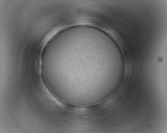 X0000113991286200910021214