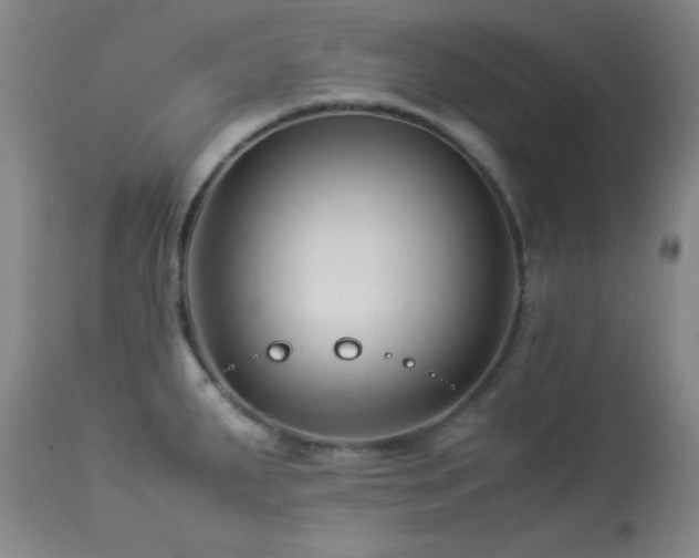 X0000113991287200910021214