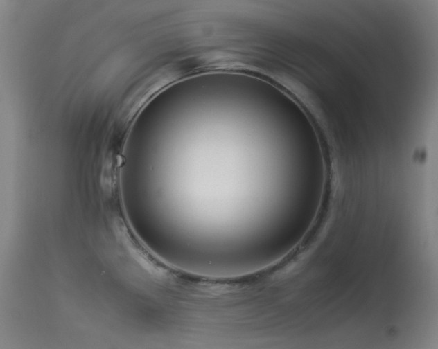 X0000113991289200910021213