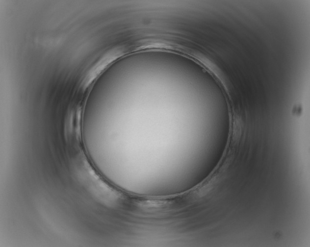X0000113991290200910021213