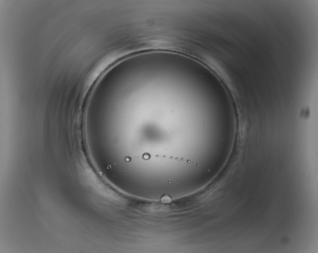 X0000113991291200910021213