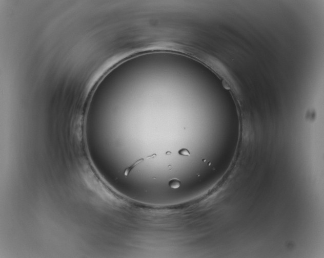 X0000113991292200910021213