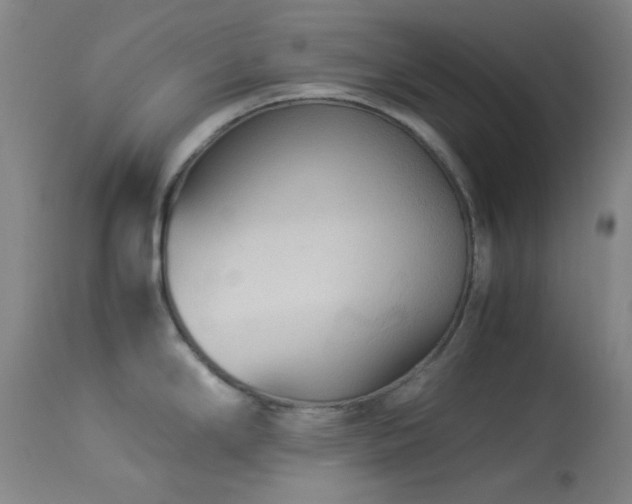 X0000113991294200910021213