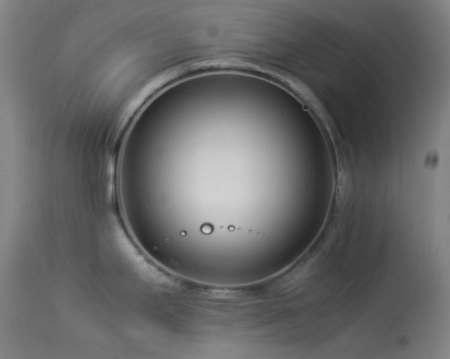 X0000113991295200910021213