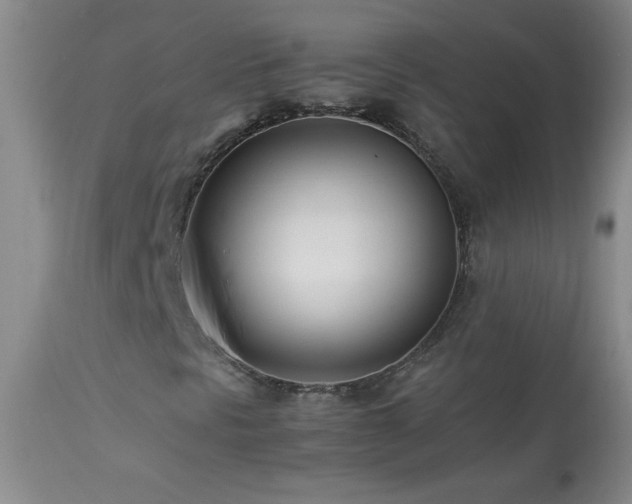 X0000113991297200910021212