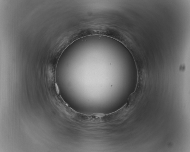 X0000113991298200910021212