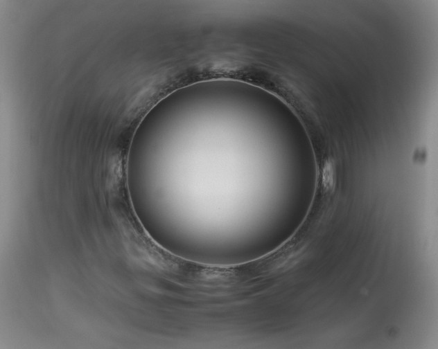 X0000113991299200910021212