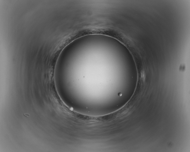 X0000113991300200910021212