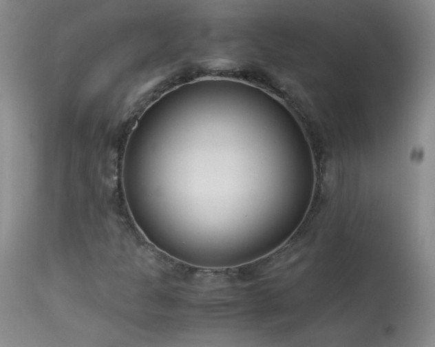 X0000113991301200910021212