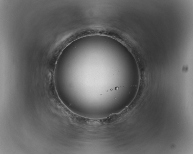 X0000113991302200910021213