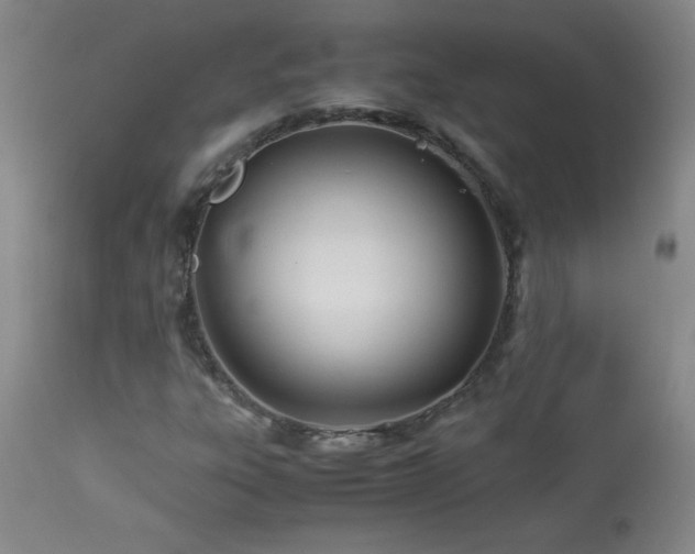 X0000113991303200910021213
