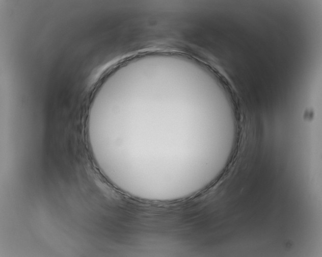 X0000113991304200910021213