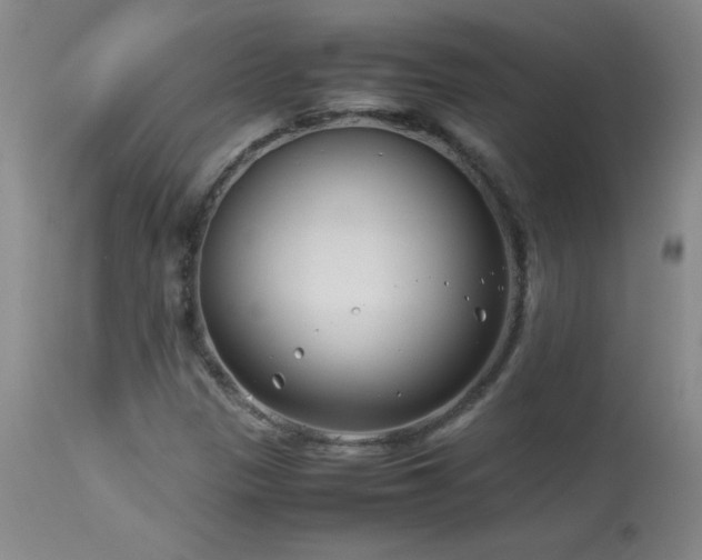 X0000113991305200910021213