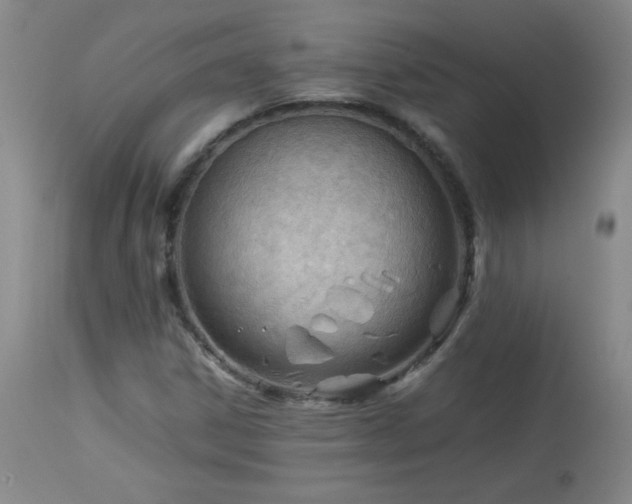 X0000113991306200910021213