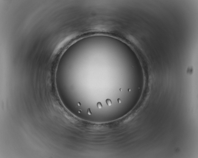 X0000113991307200910021213