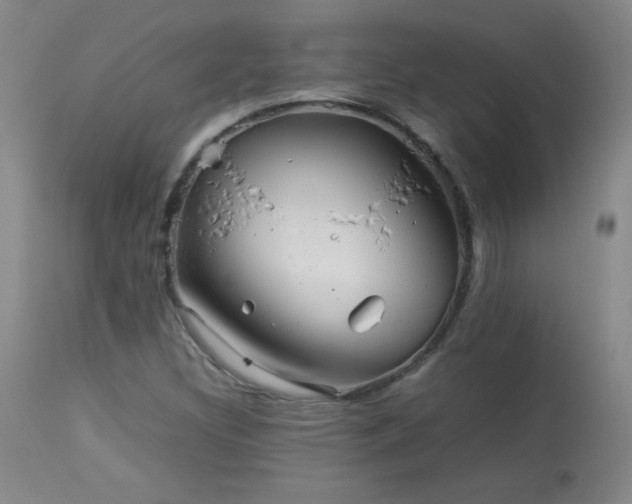 X0000113991308200910021213