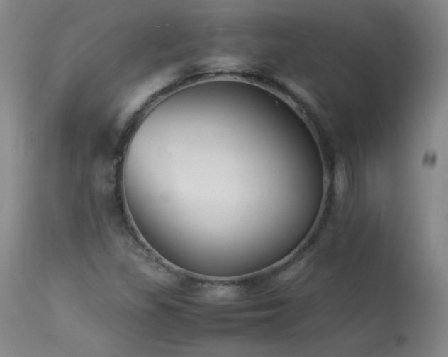 X0000113991309200910021213
