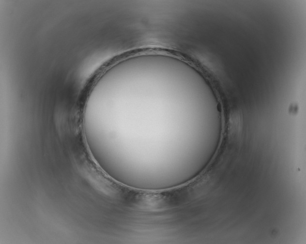 X0000113991310200910021213
