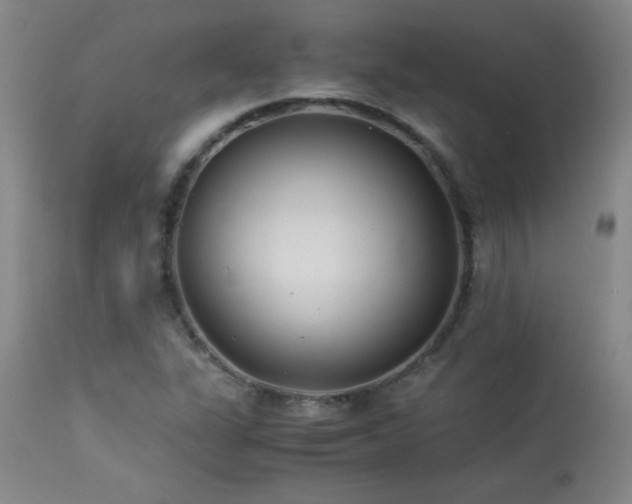X0000113991311200910021213