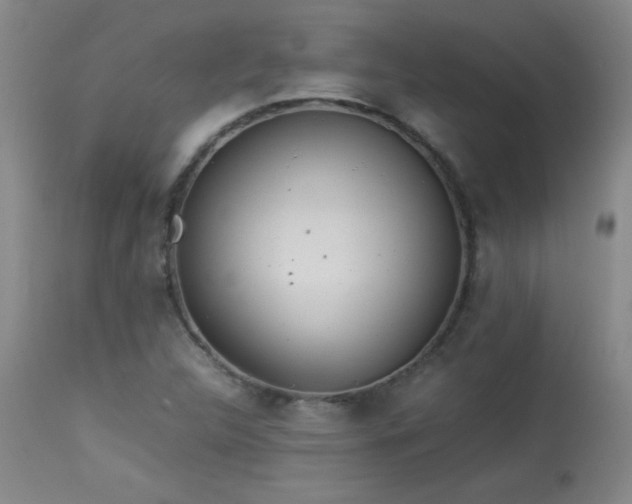 X0000113991312200910021213
