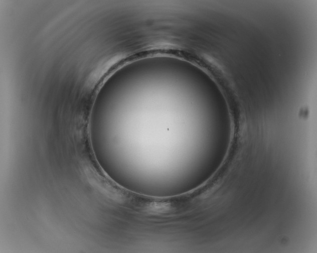 X0000113991313200910021213