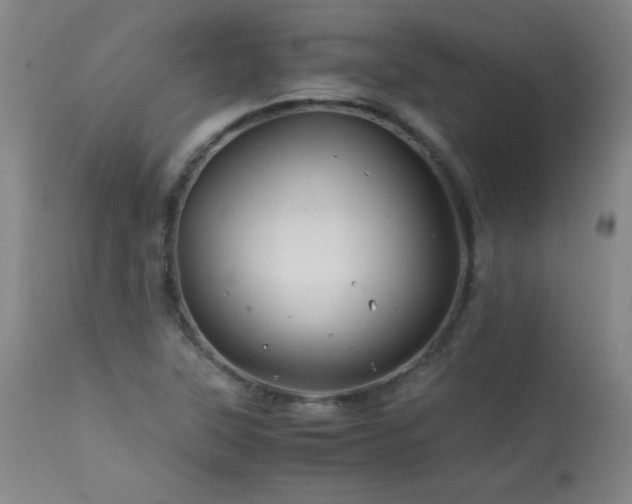 X0000113991315200910021213