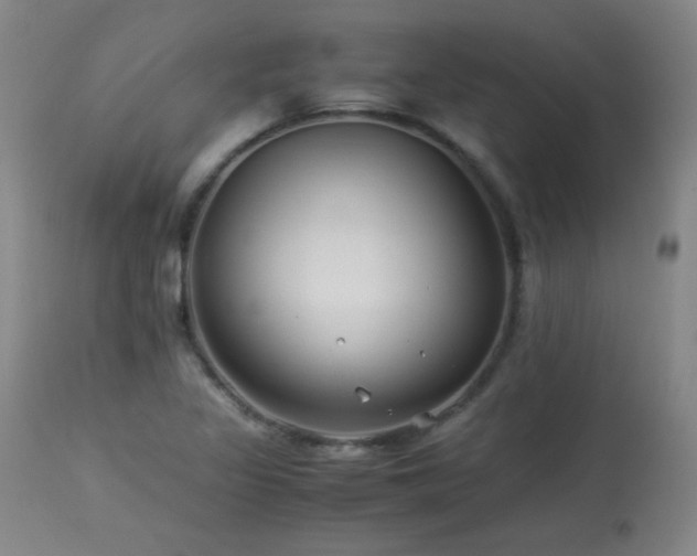 X0000113991317200910021213
