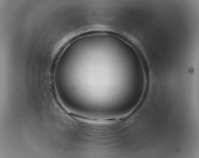 X0000113991318200910021213