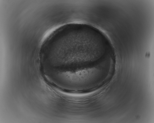 X0000113991319200910021213
