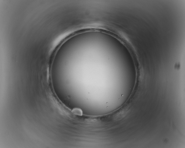 X0000113991320200910021213