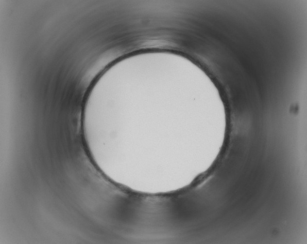 X0000113991322200910021213