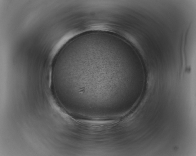 X0000113991323200910021213