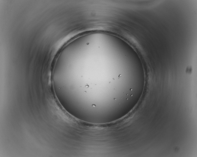 X0000113991324200910021213