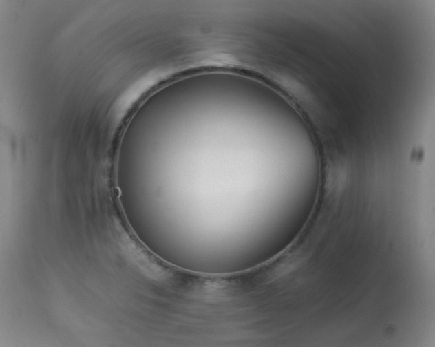 X0000113991326200910021213