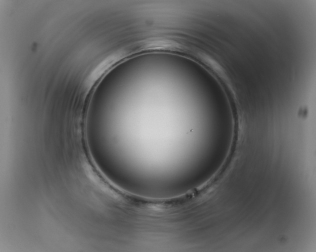 X0000113991330200910021213